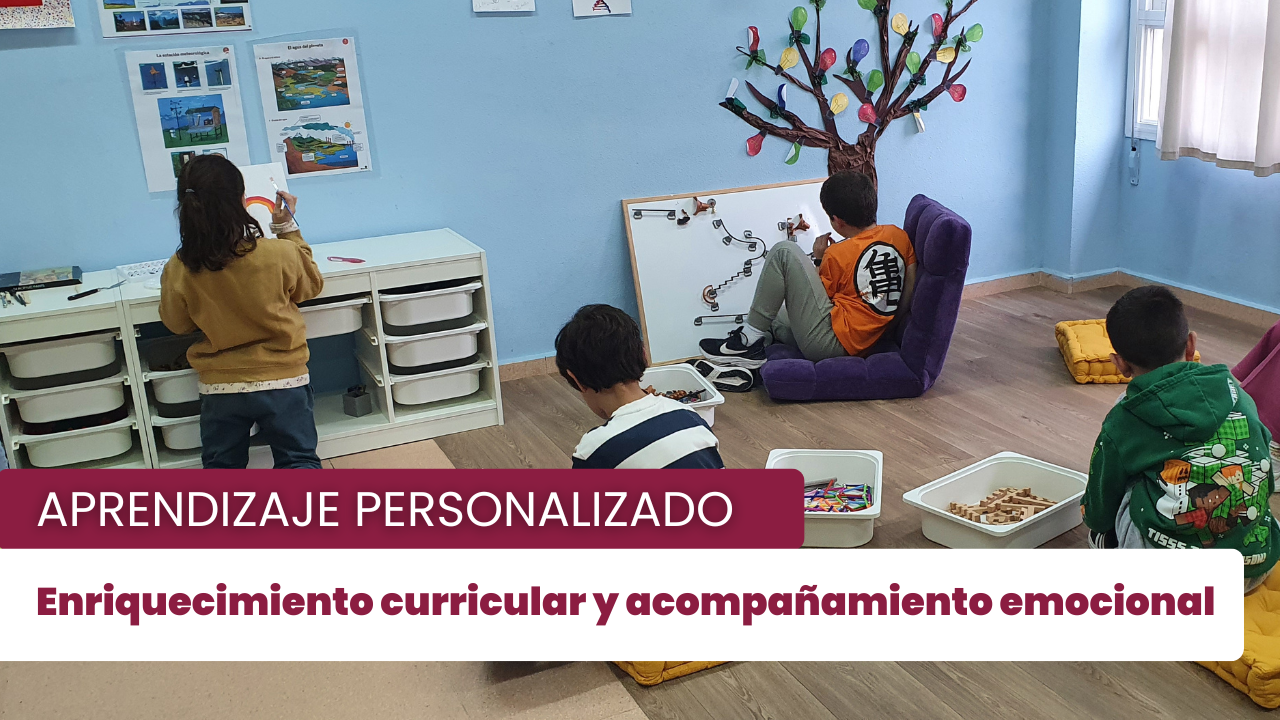 Si no todos los niños aprenden igual, ¿por qué enseñar de la misma manera?